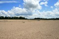 Isle de la Crevée, sur la Loire