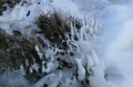 herbes glacées, barrage de St Nizier