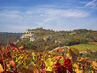 Paysages  remarquables et la richesse naturelle des pays calcaires. Entre falaises, chaumes et vignes partez à la découverte du Bout du Monde !